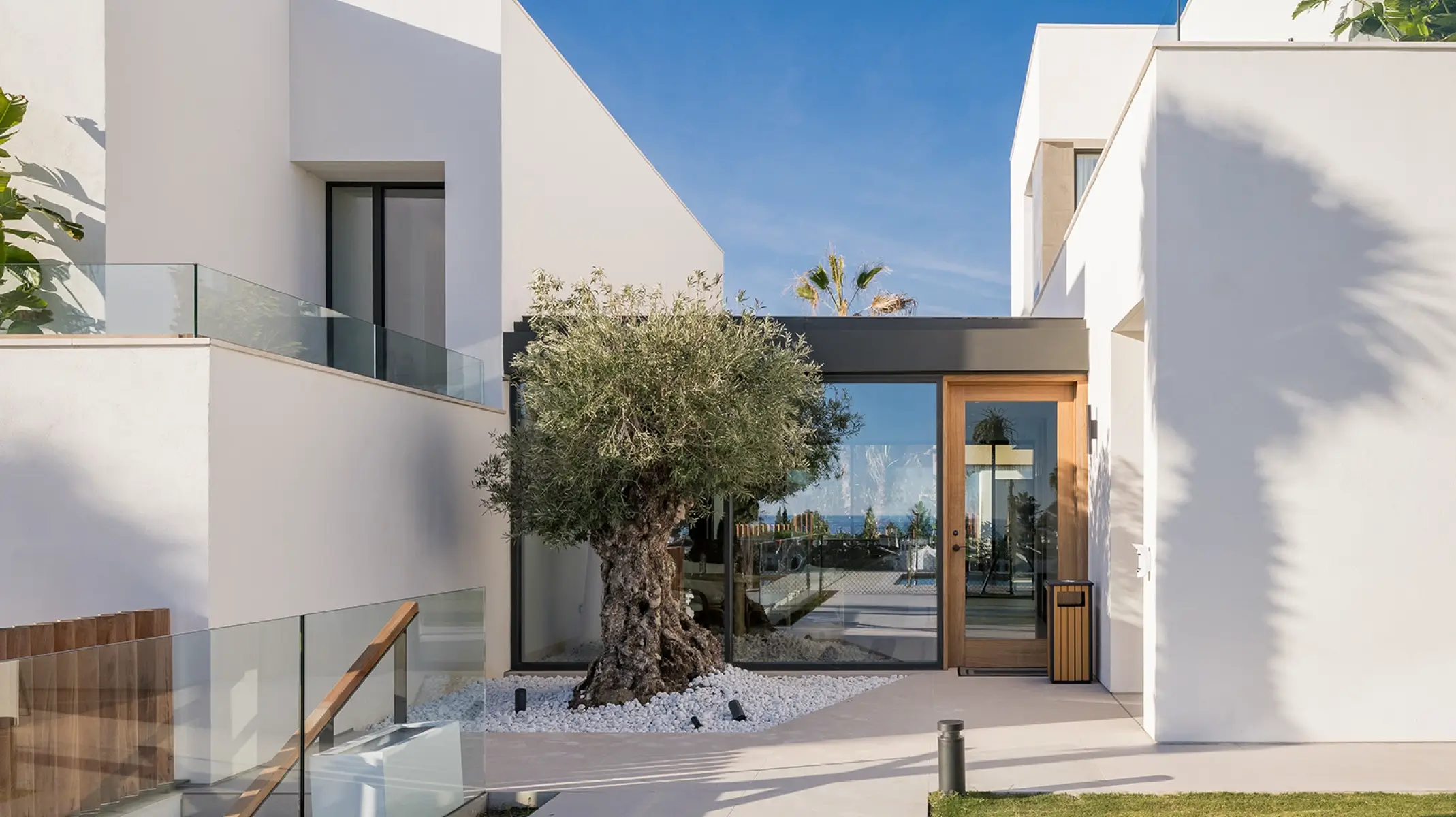 Entrada exterior de Naghoi — olivo centenario, arquitectura contemporánea blanca y jardín mediterráneo, Costa del Sol, España.